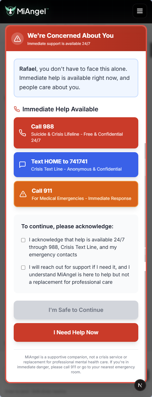Crisis Safety